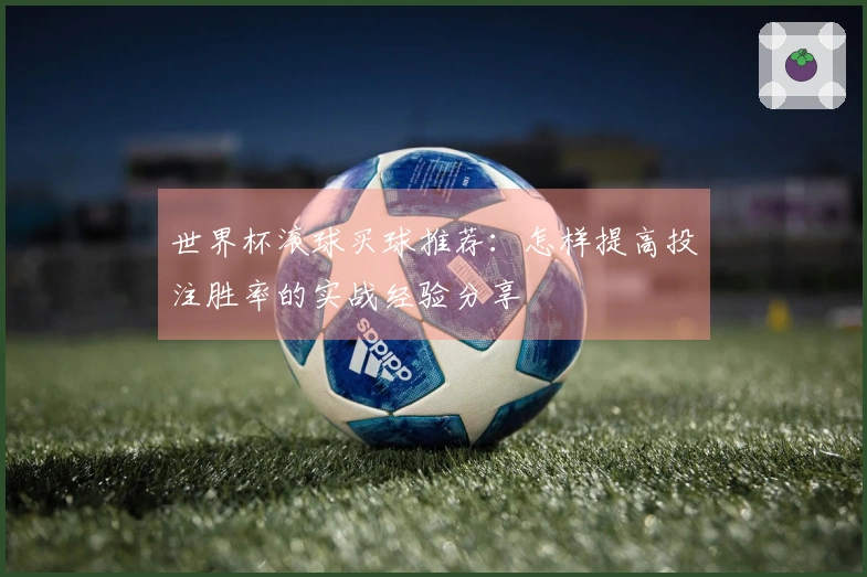世界杯滚球买球推荐：怎样提高投注胜率的实战经验分享