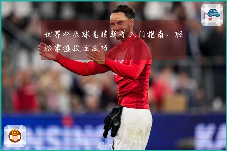 世界杯买球竞猜新手入门指南，轻松掌握投注技巧