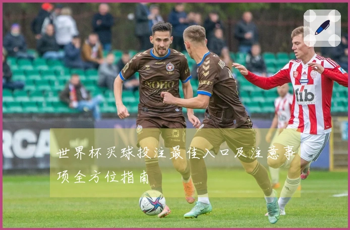 世界杯买球投注最佳入口及注意事项全方位指南
