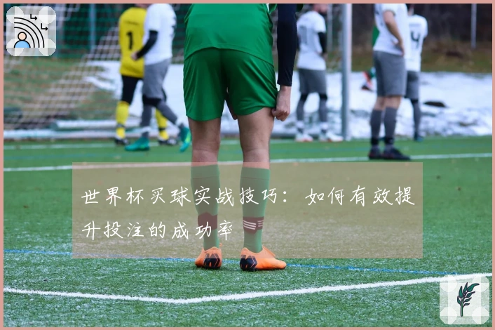 世界杯买球实战技巧：如何有效提升投注的成功率