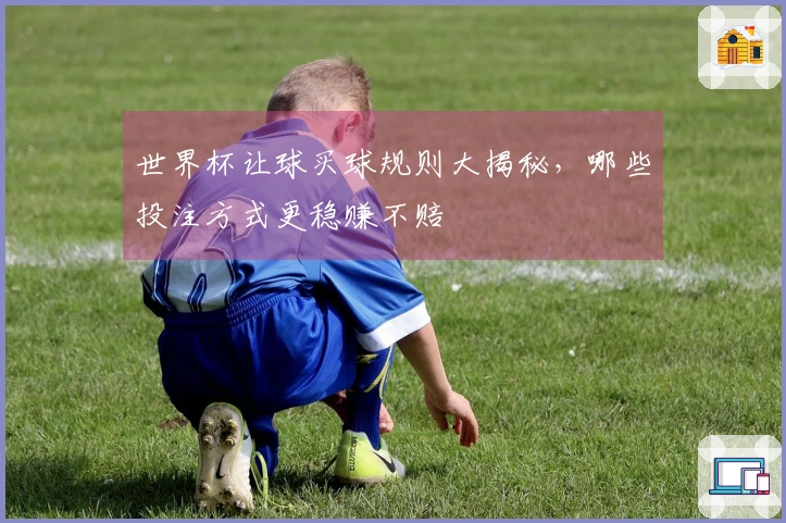 世界杯让球买球规则大揭秘，哪些投注方式更稳赚不赔