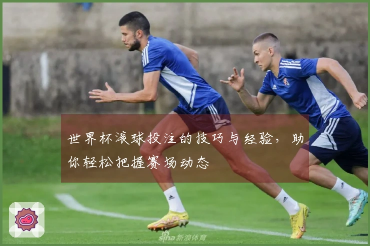 世界杯滚球投注的技巧与经验，助你轻松把握赛场动态